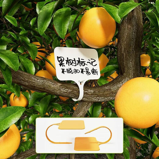 可插可挂防水小标签牌花盆多肉记号植物地牌花卉日期标识标签牌 白色100张