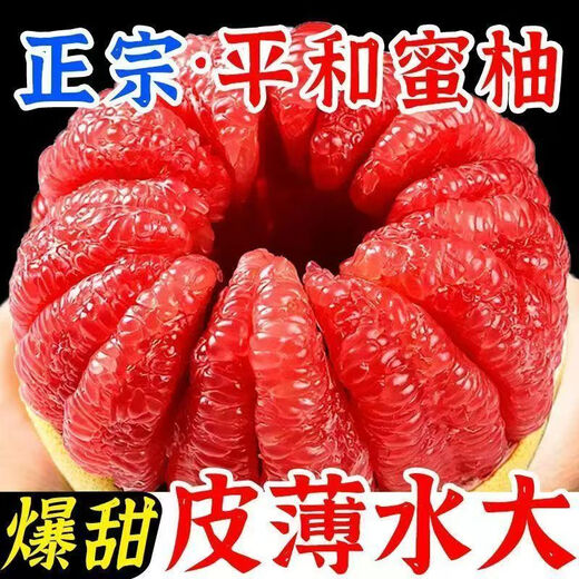 Fujian Pinghe old tree red pomelo, a fruit suitable for all ages, 1.5-2Jin Jin is equal to 0.5kg, thin skin, thick flesh and juicy