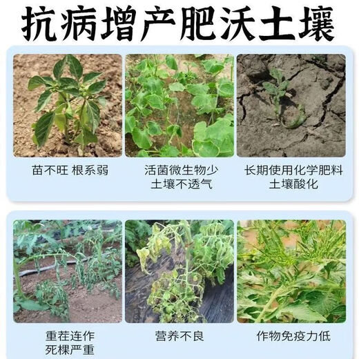 Soil-borne disease bactericide, agricultural soil fungicide, anti-repeat root rot, dead seedlings and root rot, 5 packs 500g*5