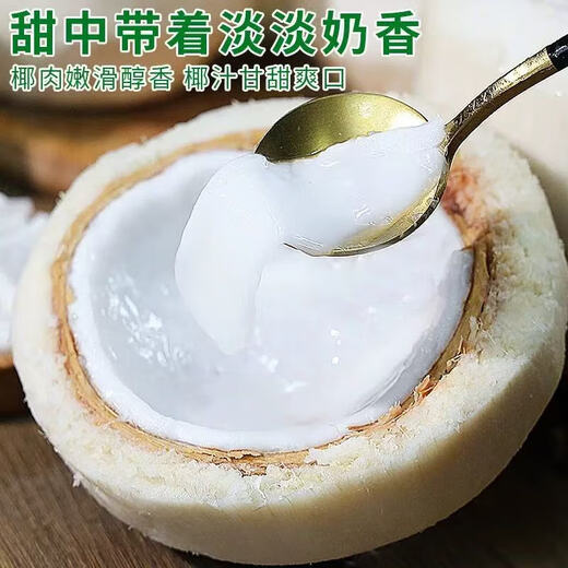 Thai Perfume Green Coconut Fresh Coconut Peeled Milk Fragrant Green Coconut Single Fruit 900g Large Fruit 1 piece (Tryer Pack) Sweet and delicious, full of milky flavor