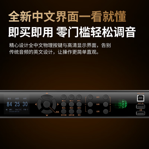 麦乐迪DSP9900胆管电子管前级效果器专业k歌音响话筒防啸叫抑制音频处理器卡拉ok混响人声 DSP9900旗舰版效果器