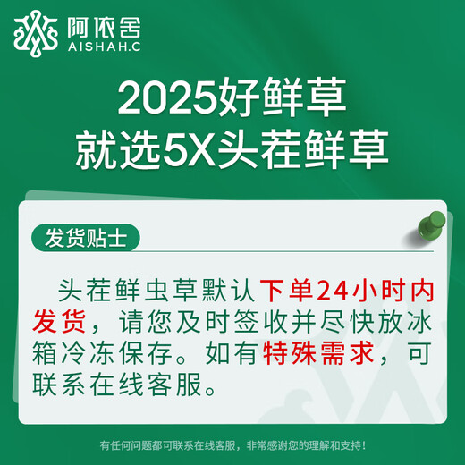 阿依舍 2025年头茬新鲜冬虫夏草鲜虫草礼盒冷鲜空运送长辈端午节礼物 0.6克/根 50根礼盒装