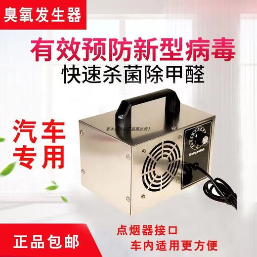 Ozone disinfection machine generator new house decoration household formaldehyde removal air purifier car interior deodorization household 220V 20g 0~100 square meters