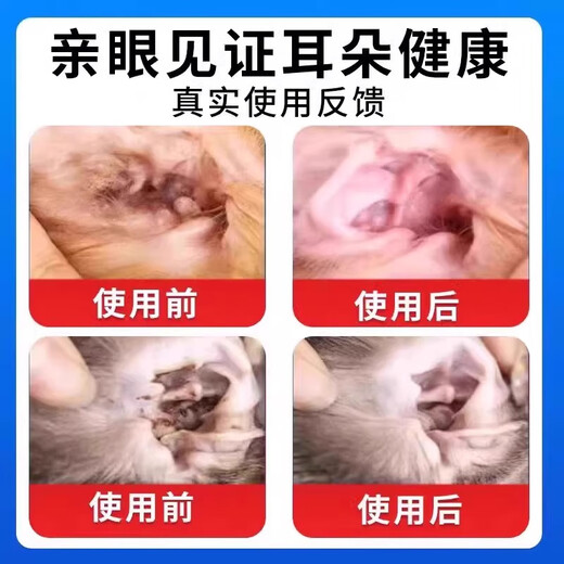 Ear mite ear drops for cats and dogs, ear drops for anti-inflammation and itching to remove ear mites, Bayer Yersu, a box of otitis media medicine for removing mites, bacteria and fungi.