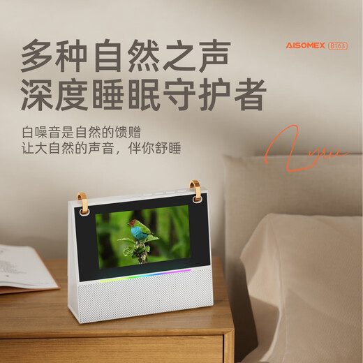 Aishomei B163k song microphone audio all-in-one singing artifact with microphone family ktv home laka ok children's male and female birthday gift lyrics display white double wheat