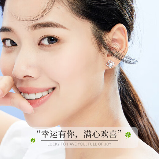 MZMZ platinum earrings for women, fashionable temperament, trendy earrings accessories, Valentine's Day birthday gift for girlfriend and wife, light luxury model - Lucky Four-leaf Clover Earrings (Gift Box)