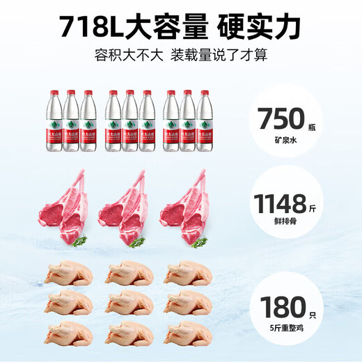 星星【铜管】星星牌冰柜商用大容量卧式全冷冻海鲜速冻冷柜肉类囤货大冰箱 茶叶密封保鲜柜节能冷柜 718升 ｜-40℃速冻 除霜 电子温控