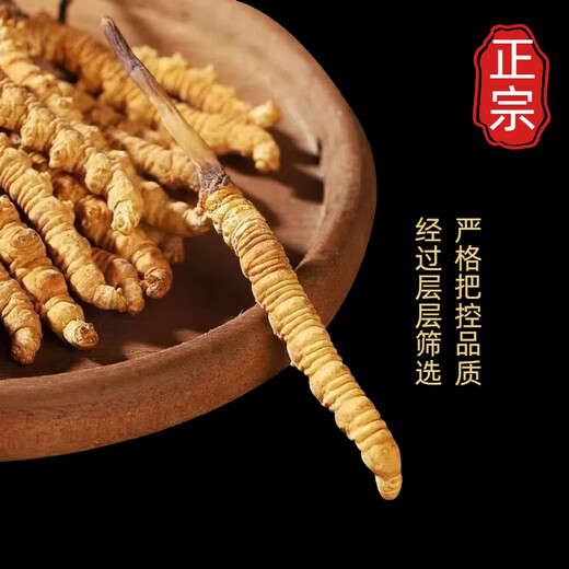Pékin Tongrentang Cordyceps même qualité Cordyceps Boad Cordyceps Boad Boîte de santé Produits de santé Suppléments nutritionnels Cordyceps King Médicaments Médicaments 50 Boîtes-cadeaux (Spécifications 3 bâtons par gramme)