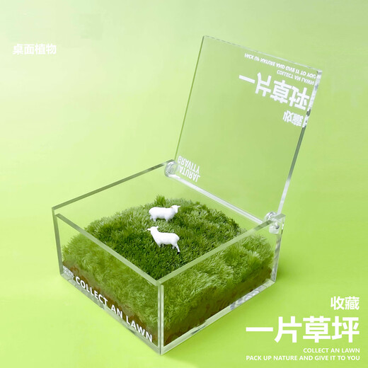 Jingdong green plants, a private lawn, office gift box, moss micro-landscape ornaments, ecological green plants, customized gifts, straight from the source