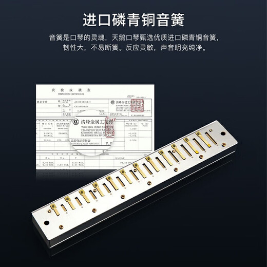 Swan German imported gongs 24-hole polyphonic harmonica advanced adult professional performance level beginner entry-level gift boutique 24-hole polyphonic C key (commonly used key) + gifts