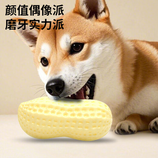 Zanpet Dog Peanut Teething Toy, Pet Interactive Boredom Relief, Milk Scent, Bite-Resistant and Scratch-Resistant Dog Training Supplies