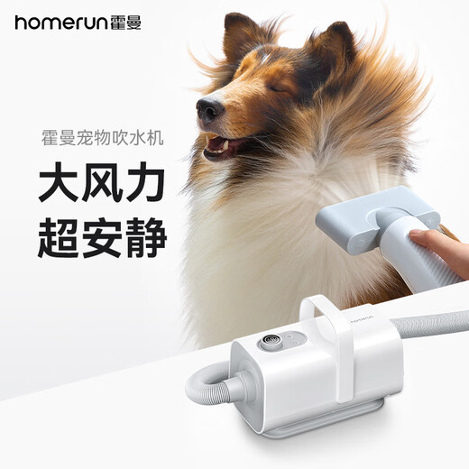 Hörmann pet water blower, special dryer for dog drying, automatic hair blowing, dog bathing, household artifact, silent Hörmann pet water blower, ivory white