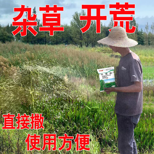 Cyclazinone is a special medicine to remove dead trees and rotten roots of large trees. Herbicide is a special medicine to remove big trees and remove rotten roots of bamboo. Genuine Cyclazinone 5Jin Jin is equal to 0.5kg