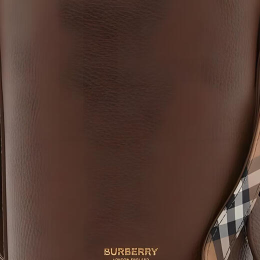 Burberry -Kalbskinback -Bag ein Schulterkreuzkörper Frauen Erde Farbe Grundpaket (Bag + Staubbeutel)