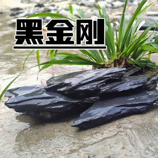 Fish tank stone ornamental stone native tank black gold fine schist turtle basking back schist landscaping platform fish tank climbing pet vacation 3Jin Jin equal to 0.5kg 20-30cm