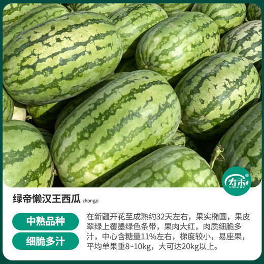 Shouhe Lazy Man Watermelon Seed Lazy Man King Watermelon Seed Extra Large Spring No Pruning Lazy Man Fruit Seedling Southern Sweet Green Emperor Lazy Man King Watermelon Seed 50gx2 cans