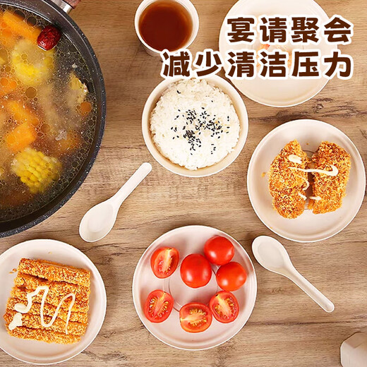 MAXCOOK Disposable Plates Biodegradable Corn Starch-Based Tableware Set Dinner Plate, Bowl and Chopsticks Set 20 Pieces MCPJ8322