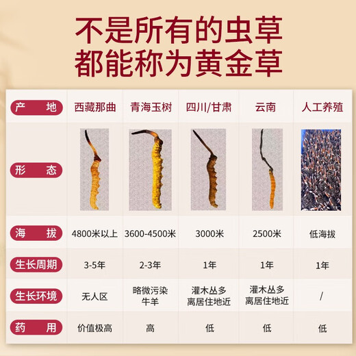 观采归【西藏那曲】野生冬虫夏草补品送长辈老年人营养礼盒虫草礼品实用 一级草[约2根/克] 5克10根养生装