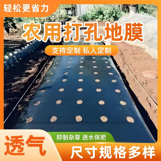 Perforated black mulch film for weeding, insulation, moisturizing and anti-aging medicinal materials, onions, peppers, peppers, special perforated mulch film, 1 wire, 1.5 meters wide, 280 meters wide, 20*20, 6 holes