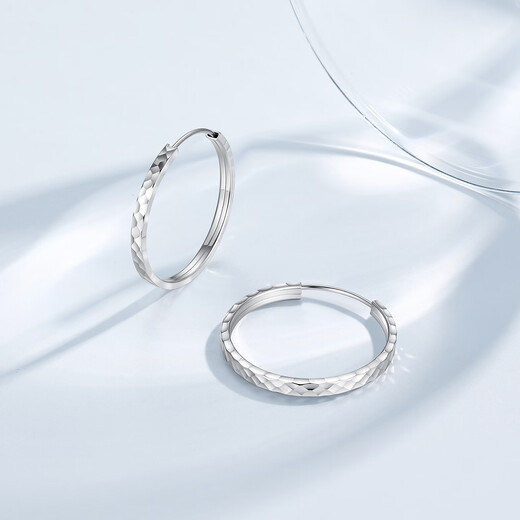 Chao Acer Platinum Earrings and Earrings for Women PT950 Earrings, Premium Earrings for Girlfriend, Priced at RMB 360, C Pair, 3.4g