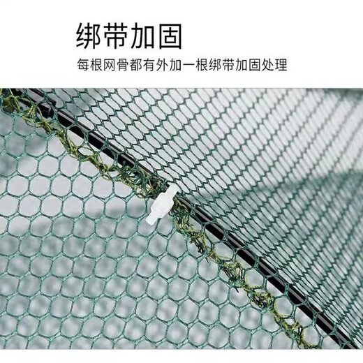 JCZS Folding Umbrella Cage Fishing Net Shrimp Cage Fishing Cage Fishing Net Fishing Net Cage Shrimp Cage Shrimp Net Folding Fishing Umbrella Net Luminous Bold Thickened 4 Holes + 5 Packs of Bait +