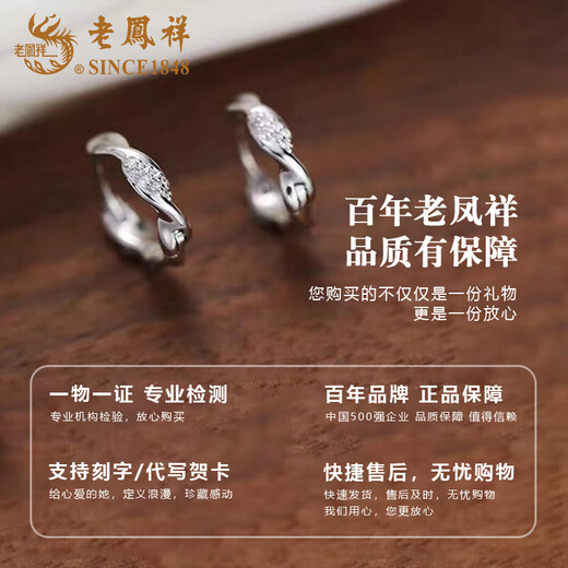Lao Fengxiang Twist Mobius Earrings for Women, Light Luxury Niche Ear Captive Hole Earrings, Valentine's Day Birthday Gifts/Next Day Delivery - Twist Mobius Earrings