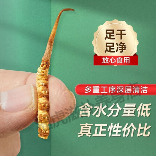 北京同仁堂品质藏区直发曲那冬虫夏草高海拔镎曲虫草干货送礼佳品100g礼盒 2根/克100克礼盒装     拉萨直发