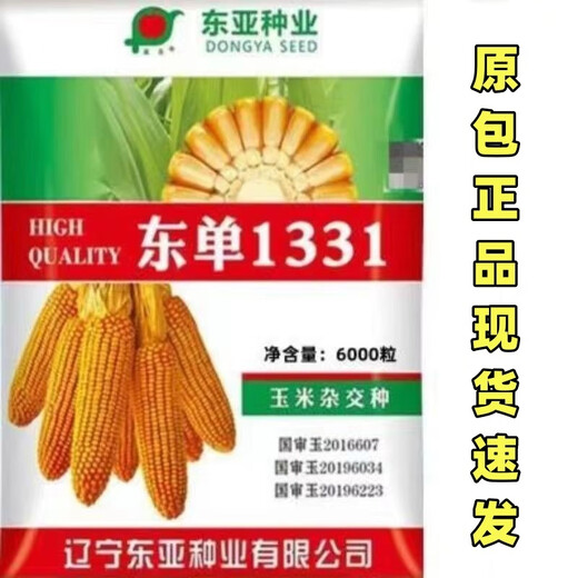 East Asia small steel gun Dongdan 1331 corn seed original first generation hybrid corn seed storage corn seed 1 bag/Dongdan 816-about 6000 grains per bag