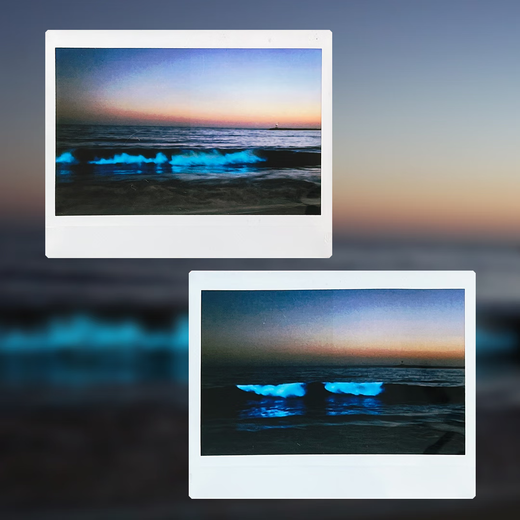 Fuji (FUJIFILM) one-time imaging photo paper wide format five-inch film wide 300/210/400/evo instant camera link wide mobile phone photo printer photo white border (20 photos) storage box + warm orange moment photo album + refrigerator magnet + frame sticker