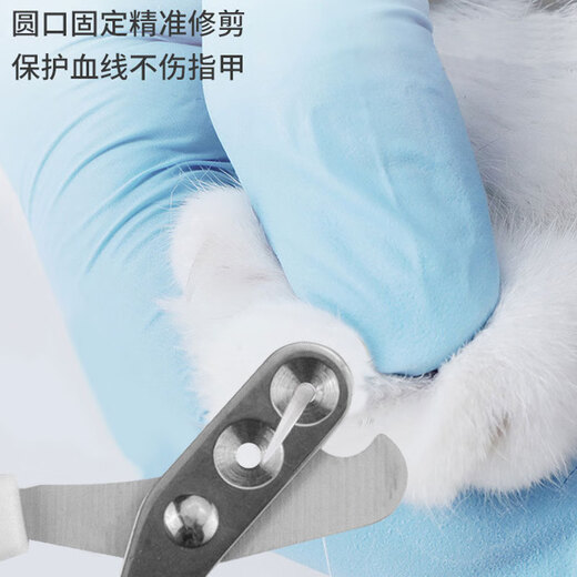 Pet Detective pet nail clipper cat nail clipper artifact small dog nail clipper white and blue single hole