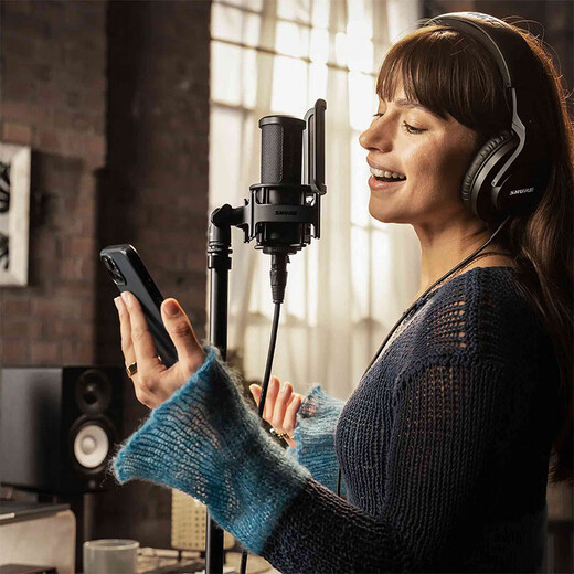 SHURE SM4 kit large diaphragm microphone flashlight dual diaphragm personal chorus karaoke vocal instrument recording equipment arranger audiobook musician studio microphone SM4-Kit + Aiken 2nano sound card