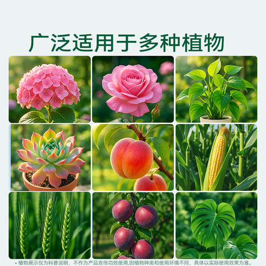 Stanley Lime Sulfur Fungicide Red Spider Rose Insecticide Powdery Mildew Black Spot Fruit Tree Garden Clearance 1000g