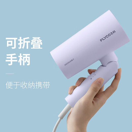 FLYCO high-speed hair dryer household negative ion constant temperature hair care high wind speed drying bass portable hair dryer for dormitory students negative ion hair care FH6277 1800W high power