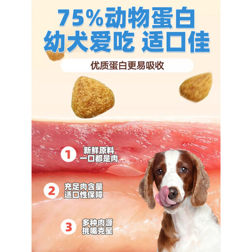 OIMG Puppy Dog Food Puppy Food 1-12 Months Small Dogs Special Milk Cake Dog Food Teddy Small Puppies Special Dog Food (Applicable for 1-12 Months) 4kg Get a Coupon and Get an Instant Discount Regular Customers Stock Up 8