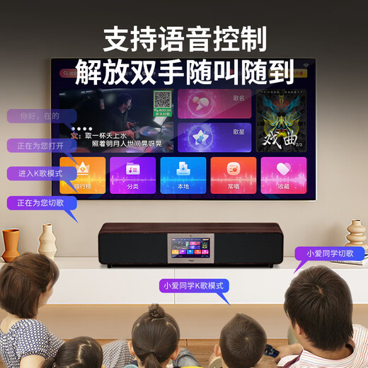 Patriot T19 Bluetooth audio echo wall TV speaker wireless home KTV theater karaoke audio set all-in-one machine with microphone dual microphone version