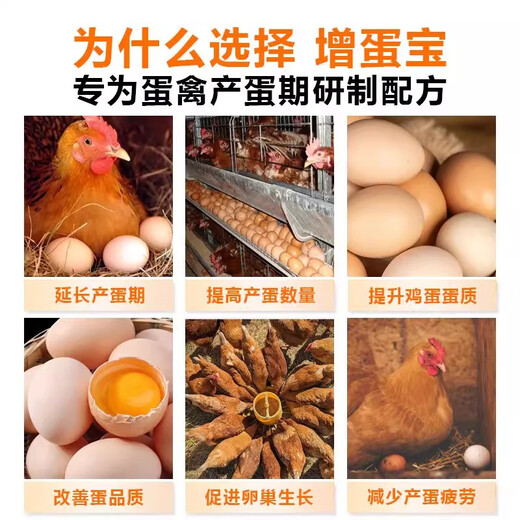 Egg-duoduo chickens, ducks, geese and poultry universal egg-laying treasure, egg-increasing treasure, egg-laying treasure, egg-promoting egg-stimulating and egg-quality feed additive, one bottle, quick effect