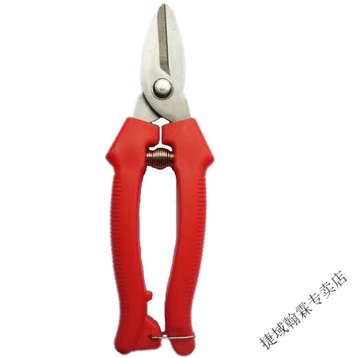 Vinoa thickened stainless steel gardening scissors, specially used for picking navel oranges, apples and tomatoes, stainless steel fruit picking pruning shears, thickened version 1 pair