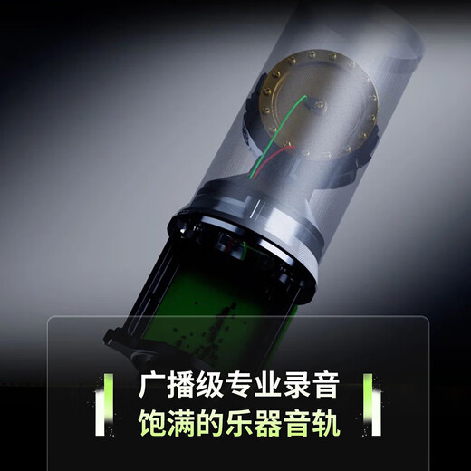 SHURE SM4 kit large diaphragm microphone flashlight dual diaphragm personal chorus karaoke vocal instrument recording equipment arranger audiobook musician studio microphone SM4-Kit + Aiken 2nano sound card