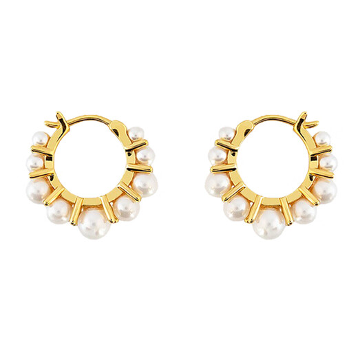 Arsis innocent era cardamom earrings for women, original design earrings, fashion accessories, birthday gifts for girlfriends