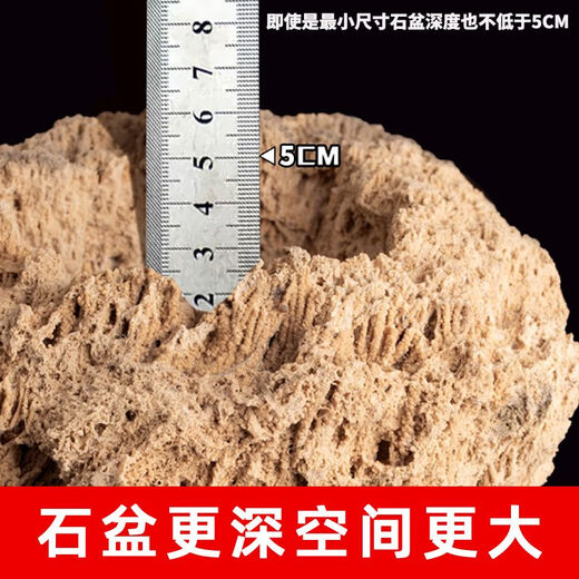 Absorbent stone flower pot, natural strange stone, absorbent stone, water-absorbing stone, raw stone stone pot, calamus succulent potted plant, bonsai micro-scape, 13-17cm stone pot + round bottom + grass seeds