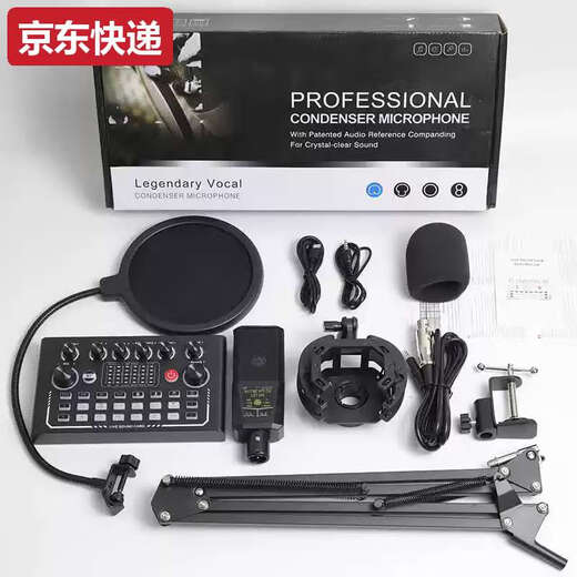 He Jiangong 240 condenser microphone sound card set English sound card V8S live broadcast equipment F998 full set of mobile phone computer recording LGT240 cantilever bracket set
