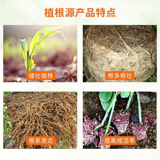 Guoguangzhigen 5% naphthalene acetic acid flower seedling transplant cutting rapid rooting Ligustrum lucidum fruit drop growth regulator Guoguangzhigen 1LX1 bottle