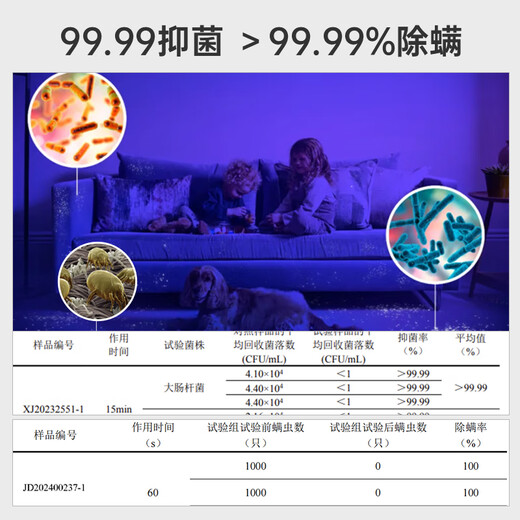 Hoover Hoover carpet and fabric professional cleaning machine home commercial hotel billiard room cleaning and suction integrated 8 bottles of cleaning fluid + host