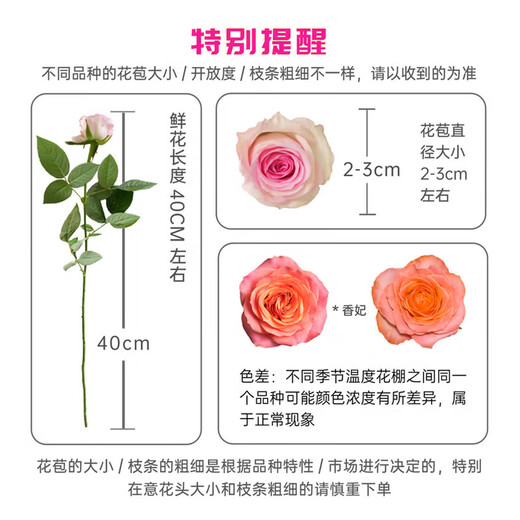 Jingdong Flowers (Yuehuaqimeng)-Kunming flower base straight hair roses lilies multi-head bouquets flowers straight hair from the source