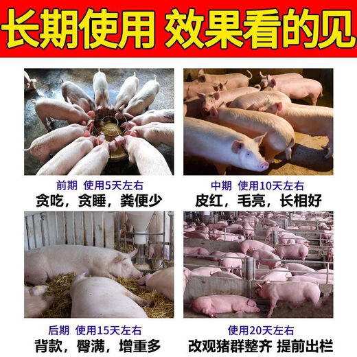 Pigs are appetizing and invigorating. Eat hard and grow stiff pigs. Stiff pigs will not grow long just by eating. Pig growth hormone is a fattening feed additive. Stiff pigs won’t grow long just by eating. 2 bags. Eat hard and grow.