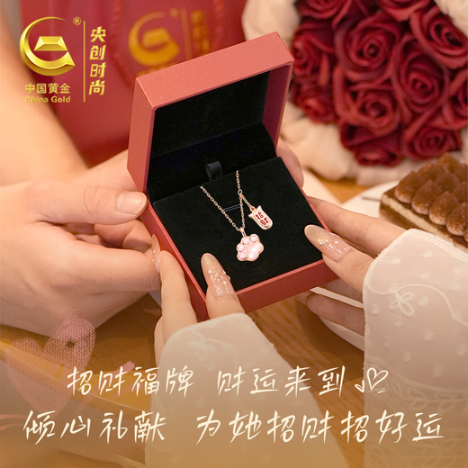 Central Chuang Fashion Chinese Gold and Silver Necklace for Girls Light Luxury Niche High-end Girl Birthday Gift for Lady Girlfriend Best Friend S925
