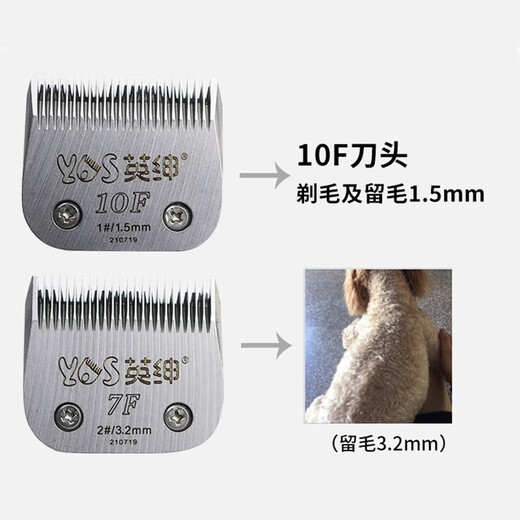 Yingshen pet electric clipper 970D pet shop professional grooming hair clipper dog shaver Teddy clipper 970d large set (including 4 hair clippers)