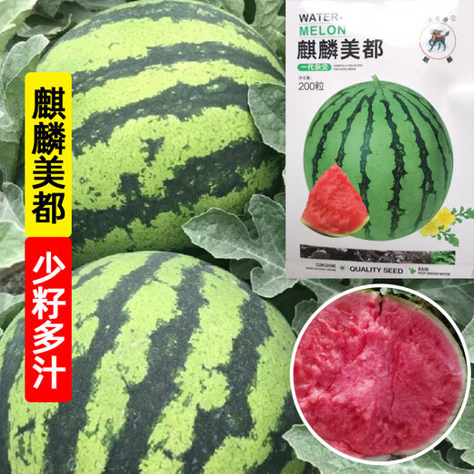 Kirin Meidu watermelon seeds with thin skin, crack-resistant, few seeds, super sweet and crispy 8424 round watermelon, Meidu watermelon seeds, 100 pieces original bag, Jinmeidu