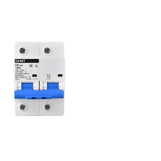 Chint CB-60A AC/DC circuit breaker 1P 2P DC circuit breaker 63A energy storage new energy DC110V 220V 2P 100A