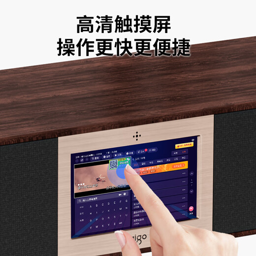 Patriot T19 Bluetooth audio echo wall TV speaker wireless home KTV theater karaoke audio set all-in-one machine with microphone dual microphone version